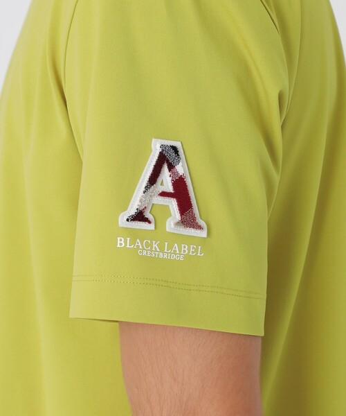 BLACK LABEL CRESTBRIDGE(ブラックレーベル・クレストブリッジ)の「10カラーレタードスリーブTシャツ(Tシャツ/カットソー・メンズ・レッド系その他/ベージュ系その他/ピンク系その他2/ネイビー/オフホワイト/ブルー/ライトイエロー/グレー系その他/ブラック/ブルー系その他4・M/L/XL)」の16枚目の写真