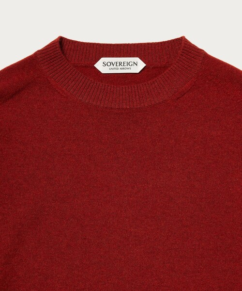 SOVEREIGN（ソブリン）の「＜SOVEREIGN＞ ホールガーメント クルーネック ニット（ニット/セーター・メンズ・ダークオレンジ/ベージュ/パープル/ロイヤルブルー・M/L/S）」の15枚目の写真