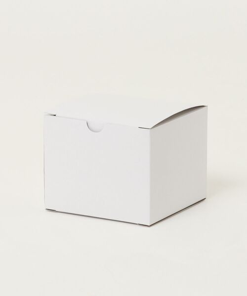 SKAGEN(スカーゲン)の「スカーゲン 腕時計 レディース アナログ ステンレス SKW3177(アナログ腕時計・レディース・ゴールド・FREE)」の10枚目の写真