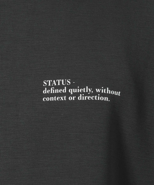 LAKOLE(ラコレ)の「【接触冷感】シルキーダンボールTシャツ / 662019(Tシャツ/カットソー・メンズ・ネイビー/ホワイト/ライトグレー/ボルドー/ブラック・SMALL/MEDIUM/LARGE)」の15枚目の写真