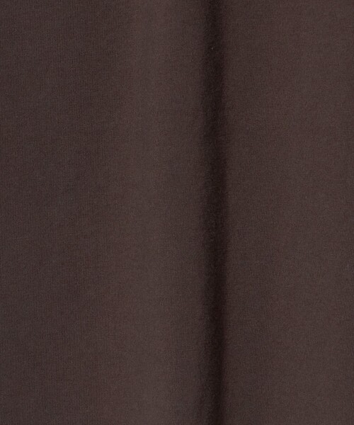 OAFISH(オアフィッシュ)の「【別注】<OAFISH>ワイド ショートスリーブTシャツ(Tシャツ/カットソー・レディース・ケリーグリーン/ブラウン系・S)」の15枚目の写真