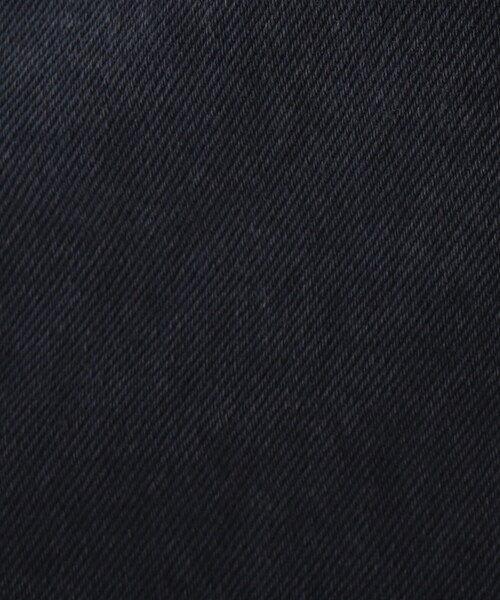 AG by aquagirl（エージーバイアクアガール）の「◆WRANGLER フレアデニムパンツ（デニムパンツ・レディース・グレー系その他/ブルー・38/36）」の10枚目の写真