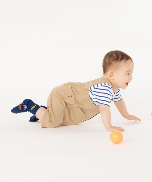 SHIPS(シップス)の「SHIPS KIDS:ベビー ダイナソー ソックス(ソックス/靴下・キッズ・ベージュ/ライトグレー/ブラック/オフホワイト/オレンジ/ネイビー/ライトブルー/レッド・X-SMALL)」の15枚目の写真