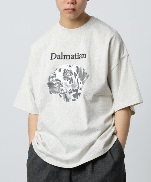 FREAK'S STORE(フリークスストア)の「WEB限定 ビッグシルエット フロント刺繍 アニマルプリントTシャツ/Dalmatian/ダルメシアン/DOG/犬(Tシャツ/カットソー・メンズ・ホワイト/ネイビー/アッシュグレー/ブラック・MEDIUM/SMALL/LARGE)」の20枚目の写真