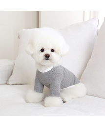 CHIOT（シュオト）の「メロフィットパッチTシャツ（グレー）（ペットウェア）」