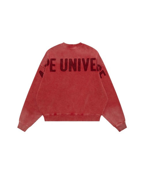AAPE BY A BATHING APE（エーエイプバイアベイシングエイプ）の「AAPE CREW NECK SWEAT（スウェット・メンズ・ネイビー/レッド/グレー系その他2・MEDIUM/X-LARGE/SMALL/LARGE）」の18枚目の写真