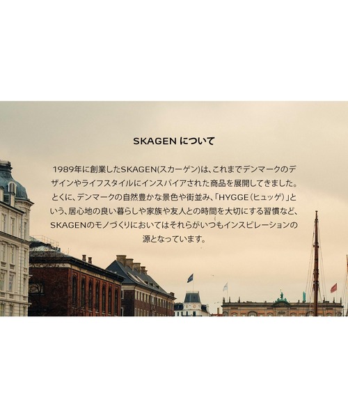 SKAGEN(スカーゲン)の「スカーゲン 腕時計 メンズ デジタル ステンレス SKW6948(デジタル腕時計・メンズ・シルバー・FREE)」の12枚目の写真