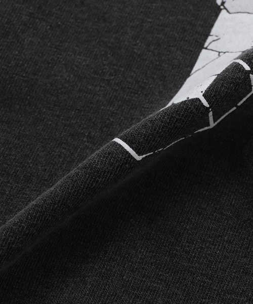 is-ness(イズネス)の「CCC*IS-NESS COTTON T-SHIRT HOUSE(Tシャツ/カットソー・メンズ・チャコールグレー/ホワイト・MEDIUM/LARGE)」の4枚目の写真