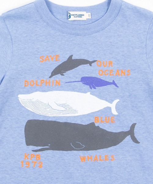 KP BOY（ケーピーボーイ）の「天竺半袖Tシャツ(100-130cm)（Tシャツ/カットソー・キッズ・イエロー/ブルー・120cm/130cm/110cm/100cm）」の4枚目の写真