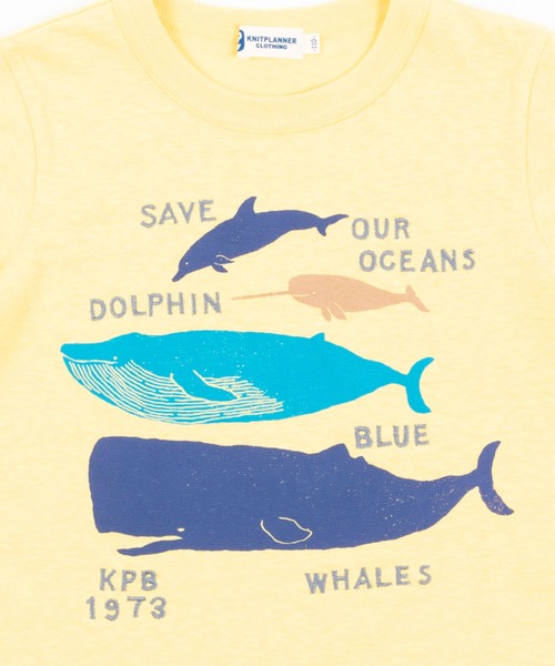 KP BOY（ケーピーボーイ）の「天竺半袖Tシャツ(100-130cm)（Tシャツ/カットソー・キッズ・イエロー/ブルー・120cm/130cm/110cm/100cm）」の6枚目の写真