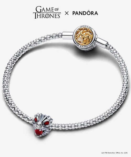 パンドラ　Pandora ゲーム・オブ・スローンズ  チャーム ゲーム・オブ・スローンズ』とジュエリーブランドPandoraの