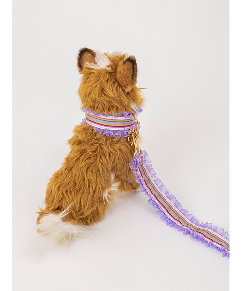 fafa（フェフェ）の「WILLOW ROSE | ドッグカラー（リード/ハーネス/首輪・レディース・B/A・MEDIUM）」の16枚目の写真