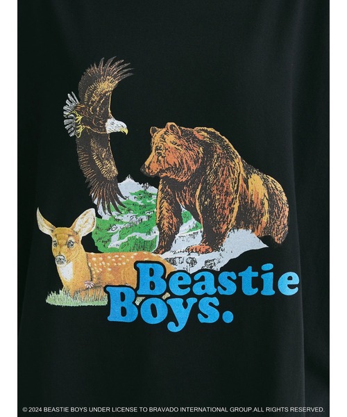 最終値下げ！激レア！TAZ /BEASTIE BOYS シルクスクリーン 9/17(土)稀少ポスターセール!!! : diskunion ROCK in TOKYO