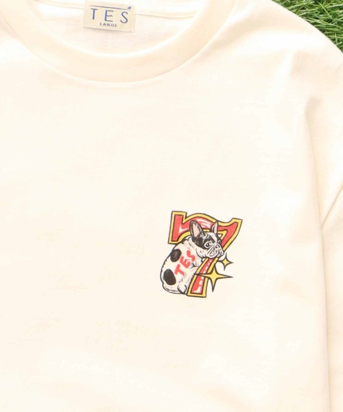 The Endless Summer（エンドレスサマー）の「TES VEGAS T-SHIRT / Tシャツ（Tシャツ/カットソー・メンズ・グリーン系その他3/アイボリー/ホワイト・SMALL/MEDIUM/LARGE/X-LARGE/XX-LARGE）」の17枚目の写真