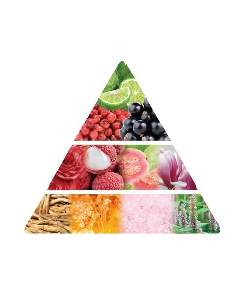 ワイルド ワンダー エレクトリック ウィスパー オーデパルファム（香水