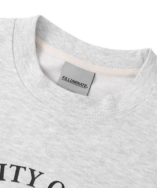 F.ILLUMINATE(フィルミネイト)の「【UNISEX】Filluminate/Bloom プルオーバー(Tシャツ/カットソー・メンズ・ブラック/ライトグレー・LARGE/X-LARGE)」の11枚目の写真