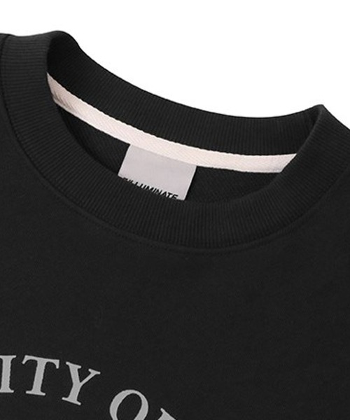 F.ILLUMINATE(フィルミネイト)の「【UNISEX】Filluminate/Bloom プルオーバー(Tシャツ/カットソー・メンズ・ブラック/ライトグレー・LARGE/X-LARGE)」の5枚目の写真