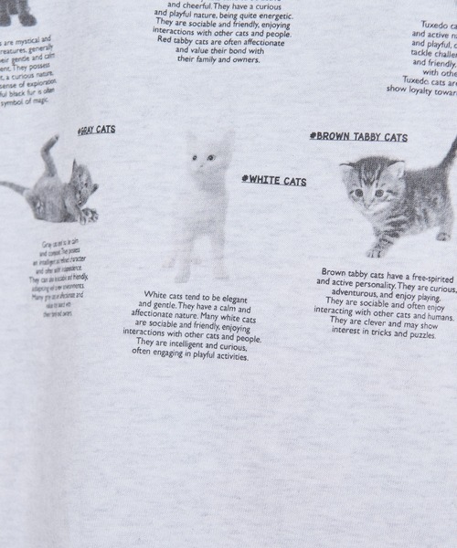 fig London(フィグロンドン)の「cat studies Tshirt(Tシャツ/カットソー・レディース・アッシュグレー・FREE)」の19枚目の写真