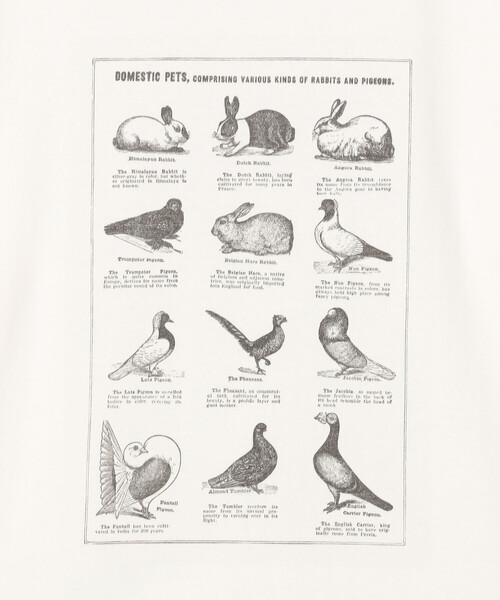 Bshop(ビショップ)の「History of Art | プリントTシャツ RABBITS & BIRDS WOMEN(Tシャツ/カットソー・レディース・ホワイト系その他・S)」の7枚目の写真