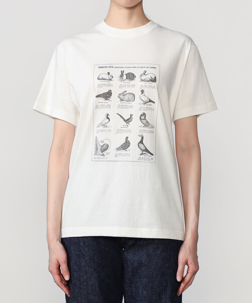 Bshop(ビショップ)の「History of Art | プリントTシャツ RABBITS & BIRDS WOMEN(Tシャツ/カットソー・レディース・ホワイト系その他・S)」の8枚目の写真