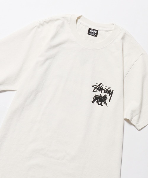 STUSSY(ステューシー)の「STUSSY/ステューシー RASTA DOT PIG. DYED TEE 半袖Tシャツ(Tシャツ/カットソー・メンズ・ナチュラル・S)」の13枚目の写真
