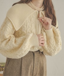 Ambre Neige | ケーブルハーフジップポロニット／【WEB/EC限定商品】(ニット/セーター)