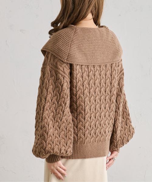 Ambre Neige（アンブルネージュ）の「ケーブルハーフジップポロニット／【WEB/EC限定商品】（ニット/セーター・レディース・アイボリー/ライトグリーン/モカ・FREE）」の7枚目の写真