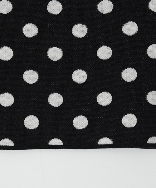 RONRON(ロンロン)の「DOT PATTERN BANDING KNIT MINI SKIRT BLACK WHITE DOT(スカート・レディース・その他・FREE)」の5枚目の写真
