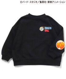 BREEZE(�u���[�Y)�̃h���S���{�[���R���{ �G���{�[�p�b�`�g���[�i�[(�X�E�F�b�g)