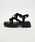 SY UNITED ARROWS�i�V�[���i�C�e�b�h�A���[�Y�j�́u��SY���t�����[�r�W���[���{�� �T���_��50���i�T���_���j�v�b�u���b�N
