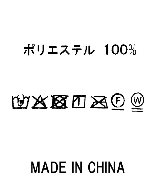 Gready Brilliant(グレディブリリアン)の「DOTプリーツシャツ(シャツ/ブラウス・レディース・ホワイト×ブラック/ブラック×ホワイト・FREE)」の3枚目の写真