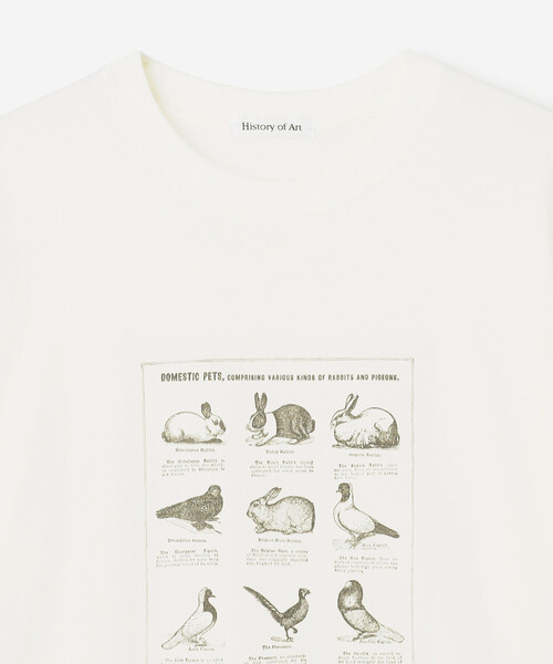 Bshop(ビショップ)の「History of Art | プリントTシャツ RABBITS & BIRDS MEN(Tシャツ/カットソー・メンズ・ホワイト系その他・XL/M/L)」の4枚目の写真