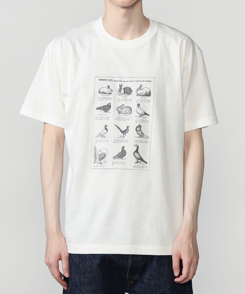 Bshop(ビショップ)の「History of Art | プリントTシャツ RABBITS & BIRDS MEN(Tシャツ/カットソー・メンズ・ホワイト系その他・XL/M/L)」の8枚目の写真