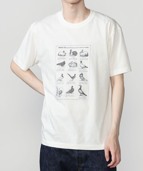Bshop(ビショップ)の「History of Art | プリントTシャツ RABBITS & BIRDS MEN(Tシャツ/カットソー・メンズ・ホワイト系その他・XL/M/L)」の3枚目の写真