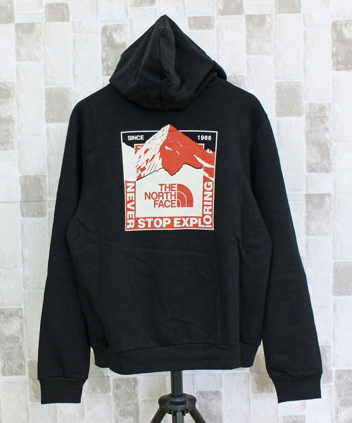THE NORTH FACE(ザノースフェイス)の「TNF マウンテンスケープ バックプリント スウェットフーディ M EVOLUTION MOUNTAIN SCAPE HOODIE- GRAPHIC(パーカー・メンズ・ホワイト系/ブラック・XL/L/M)」の2枚目の写真