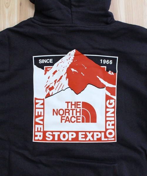 THE NORTH FACE(ザノースフェイス)の「TNF マウンテンスケープ バックプリント スウェットフーディ M EVOLUTION MOUNTAIN SCAPE HOODIE- GRAPHIC(パーカー・メンズ・ホワイト系/ブラック・XL/L/M)」の14枚目の写真