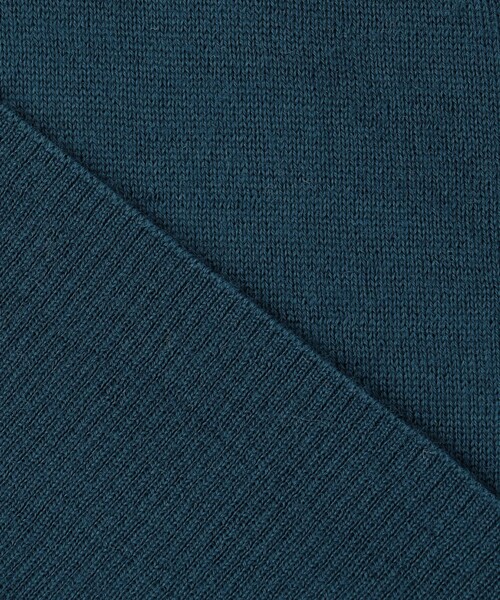 J.PRESS(ジェイプレス)の「【洗える】DRALON MERINO ニット(ニット/セーター・レディース・ライトグレー系/レッド系/ベージュ系/ピーコックグリーン系・T13)」の20枚目の写真