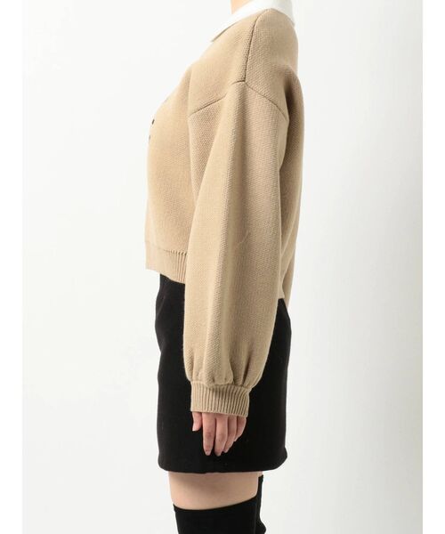 EMODA（エモダ）の「ミニカラーロゴニット（ニット/セーター・レディース・グレー/ブラック/ベージュ・FREE）」の17枚目の写真