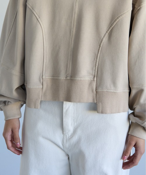 SOTT(ソット)の「Pigment Short-Length Sweatshirt ピグメント短丈スウェット(Tシャツ/カットソー・レディース・グレイッシュベージュ/チャコール・FREE)」の5枚目の写真