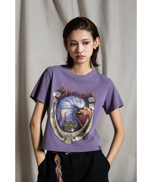 防寒性◎【Dickies x H-D】フレイミング イーグル T シャツ Dickies x Harley-Davidson Heavyweight Flaming Eagle Tee