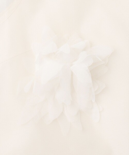 GRACE CONTINENTAL(グレースコンチネンタル)の「メッシュフラワートップ(その他トップス・レディース・ブラック/ホワイト・36/38)」の17枚目の写真