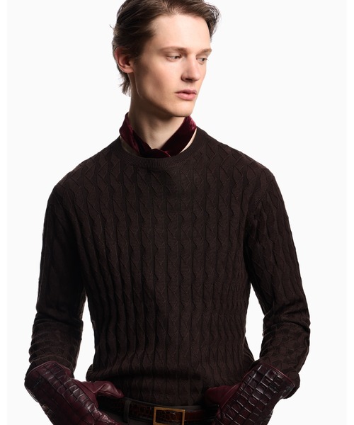 EMPORIO ARMANI(エンポリオアルマーニ)の「【エンポリオ アルマーニ】ASV セーター リヨセル混紡 エンボスパターンニット(ニット/セーター・メンズ・ダークブラウン/ダークネイビー・XX-LARGE/X-SMALL/X-LARGE/SMALL/MEDIUM/LARGE)」の8枚目の写真