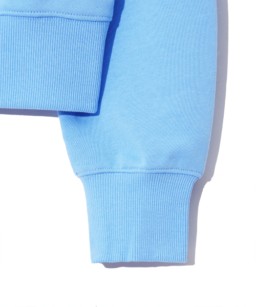 YALE（イェール）の「WOMENS 2 TONE ARCH CROP SWEATSHIRT PALE BLUE（スウェット・レディース・その他・MEDIUM/SMALL）」の5枚目の写真