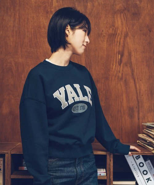 YALE（イェール）の「WOMENS 2 TONE ARCH CROP SWEATSHIRT PALE BLUE（スウェット・レディース・その他・MEDIUM/SMALL）」の8枚目の写真
