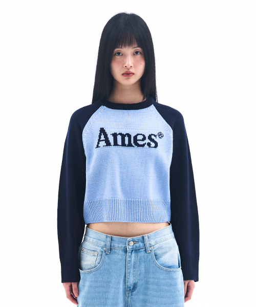 AMESWORLDWIDE(アメスワールドワイド)の「BASIC RAGLAN PULLOVER KNIT BLUE(ニット/セーター・メンズ・その他・LARGE/MEDIUM/SMALL)」の2枚目の写真