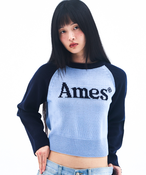 AMESWORLDWIDE(アメスワールドワイド)の「BASIC RAGLAN PULLOVER KNIT BLUE(ニット/セーター・メンズ・その他・LARGE/MEDIUM/SMALL)」の4枚目の写真