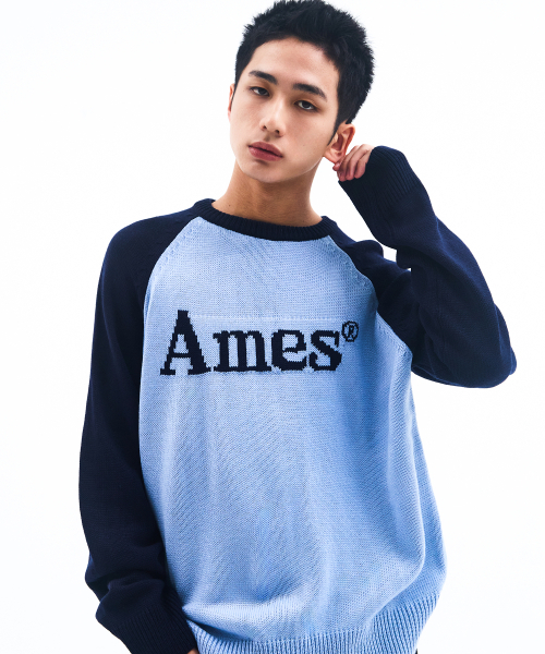 AMESWORLDWIDE(アメスワールドワイド)の「BASIC RAGLAN PULLOVER KNIT BLUE(ニット/セーター・メンズ・その他・LARGE/MEDIUM/SMALL)」の5枚目の写真
