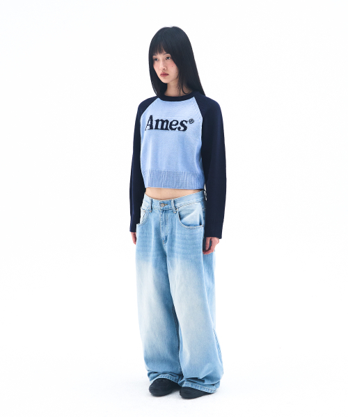 AMESWORLDWIDE(アメスワールドワイド)の「BASIC RAGLAN PULLOVER KNIT BLUE(ニット/セーター・メンズ・その他・LARGE/MEDIUM/SMALL)」の6枚目の写真