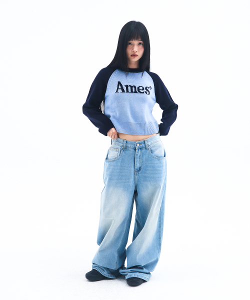 AMESWORLDWIDE(アメスワールドワイド)の「BASIC RAGLAN PULLOVER KNIT BLUE(ニット/セーター・メンズ・その他・LARGE/MEDIUM/SMALL)」の7枚目の写真