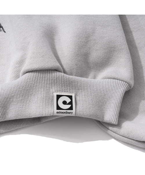EXTRAORDINARY（エクストラオーディナリー）の「W STARLIGHT CROP HOODIE L/GREY（パーカー・レディース・その他・F）」の5枚目の写真
